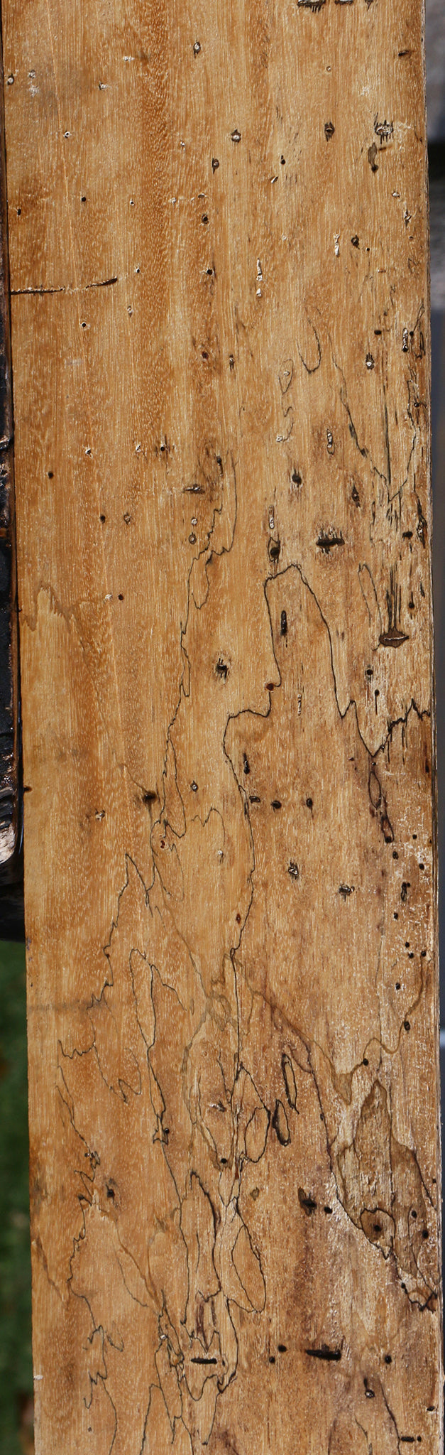 Extra Fancy Spalted Tamarind Lumber