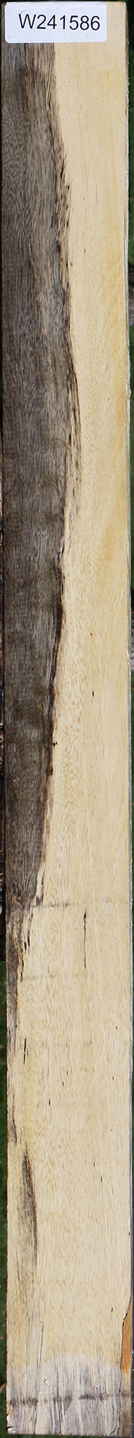 Spalted Tamarind Lumber