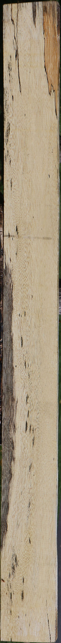 Spalted Tamarind Lumber