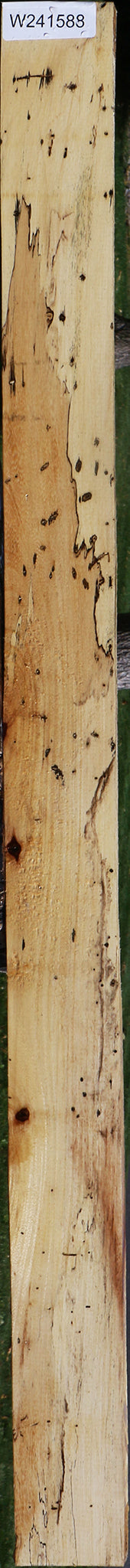 Spalted Tamarind Lumber