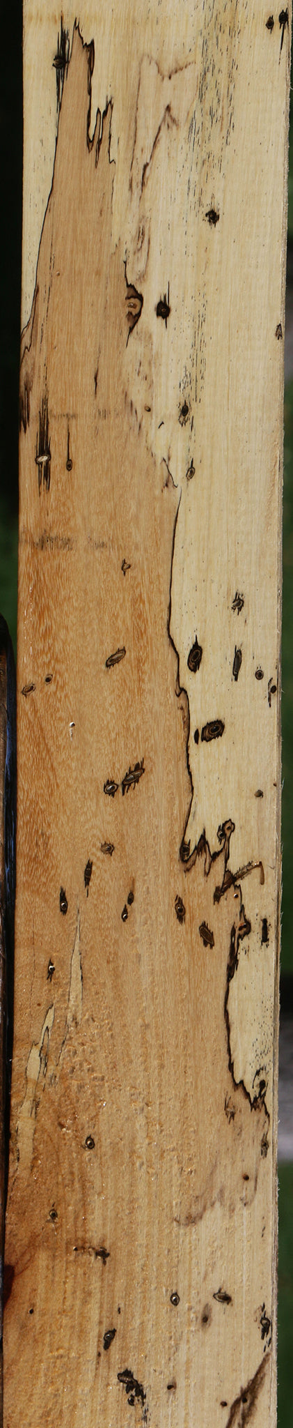 Spalted Tamarind Lumber