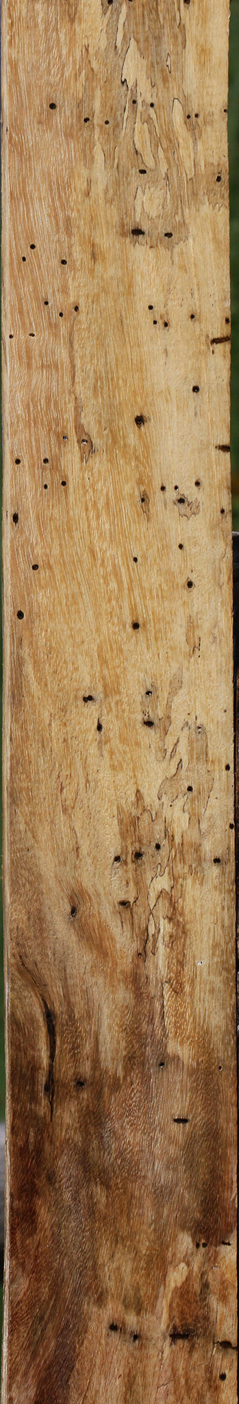 Spalted Tamarind Lumber
