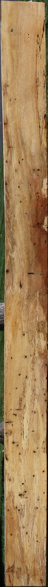 Spalted Tamarind Lumber