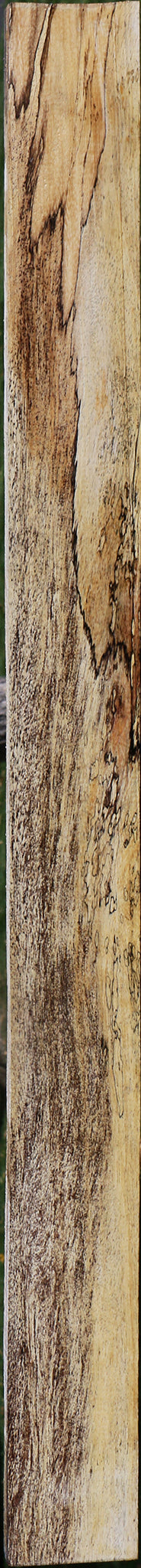 Spalted Tamarind Lumber