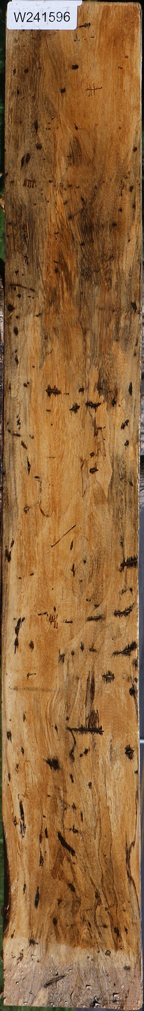 Spalted Tamarind Lumber