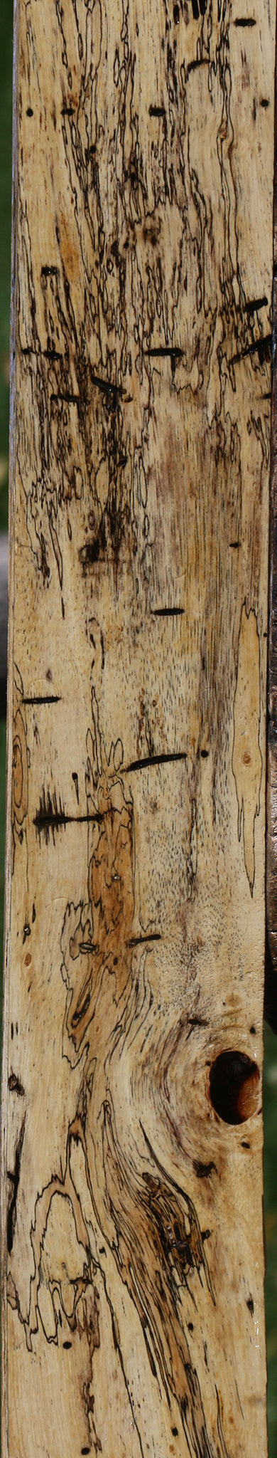 Figured Spalted Tamarind Lumber