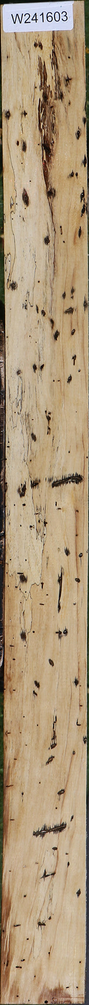 Spalted Tamarind Lumber