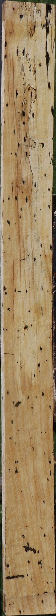 Spalted Tamarind Lumber