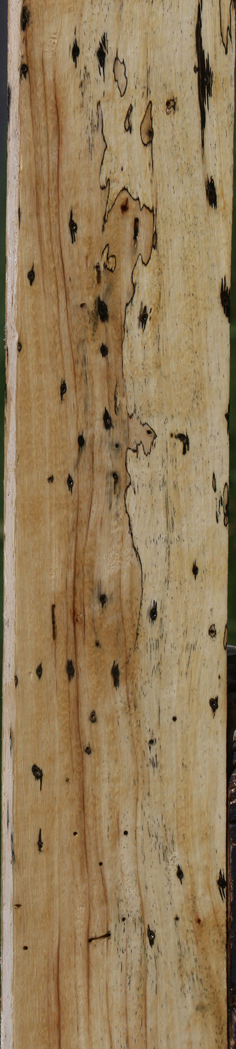 Spalted Tamarind Lumber