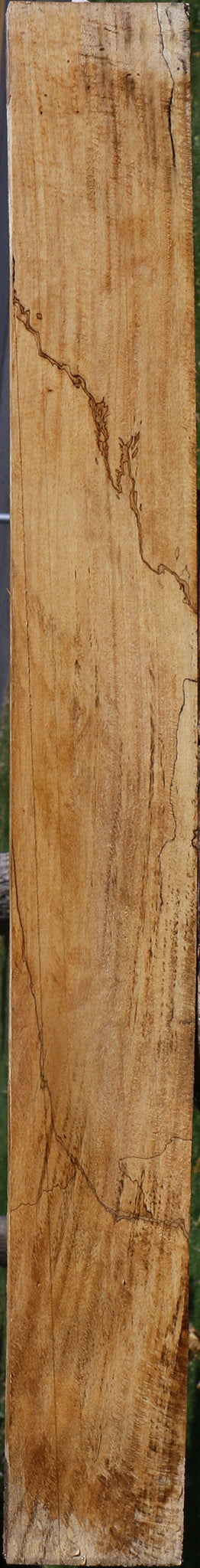 Spalted Tamarind Lumber