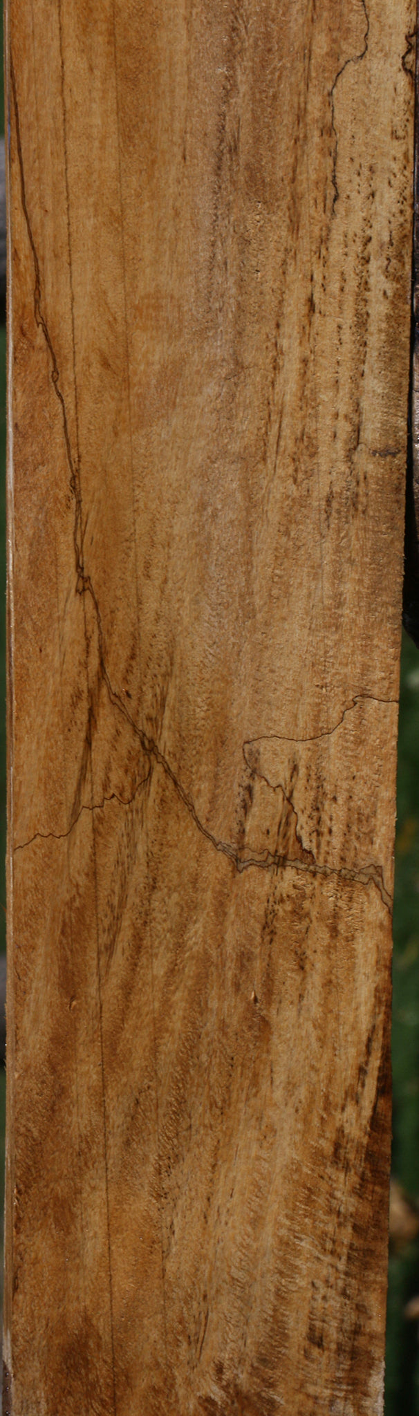 Spalted Tamarind Lumber