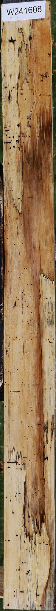 Spalted Tamarind Lumber