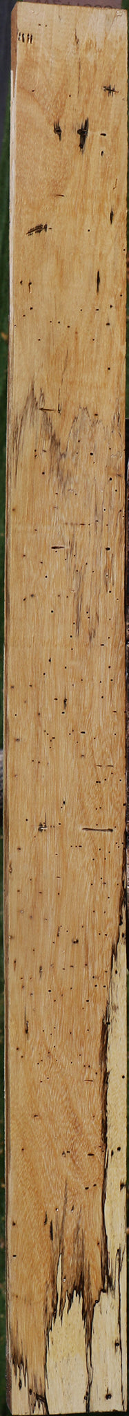 Spalted Tamarind Lumber