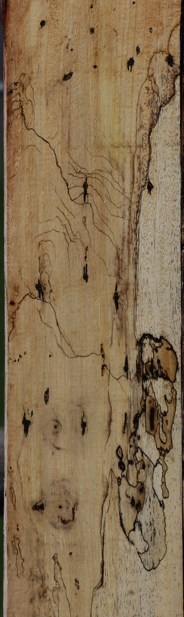 Figured Spalted Tamarind Lumber
