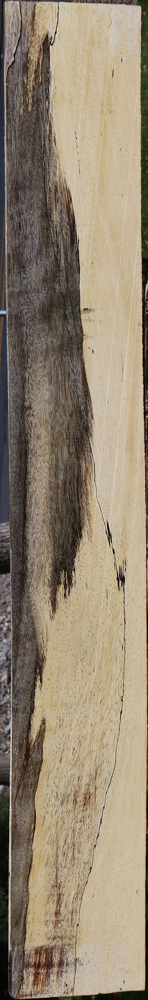 Spalted Tamarind Lumber