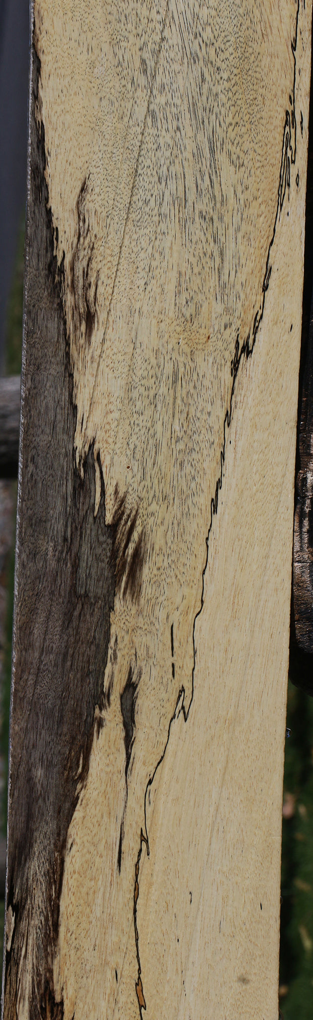 Spalted Tamarind Lumber