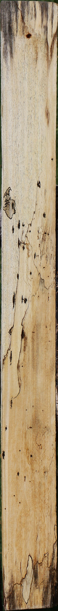 Spalted Tamarind Lumber