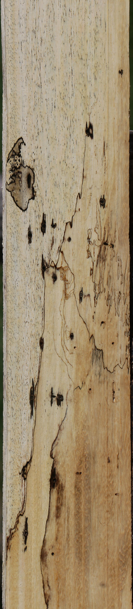Spalted Tamarind Lumber