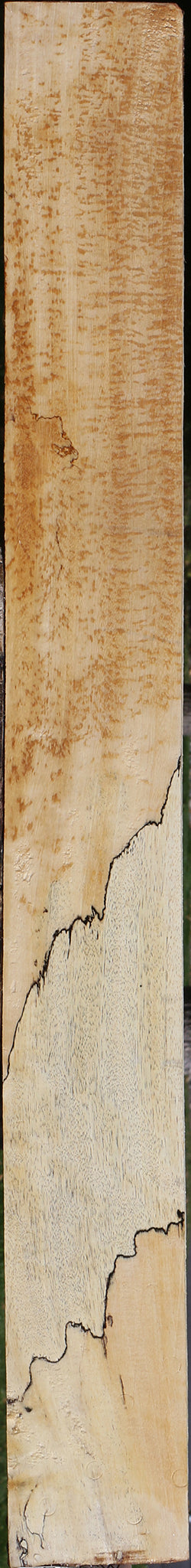 Spalted Tamarind Lumber
