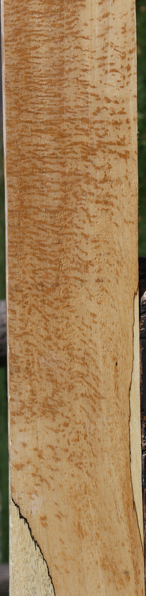 Spalted Tamarind Lumber