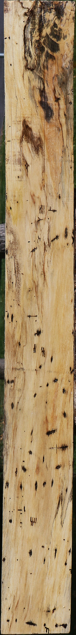 Spalted Tamarind Lumber