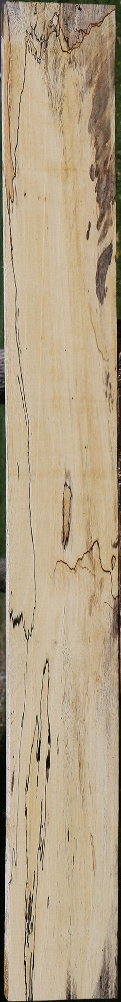 Spalted Tamarind Lumber