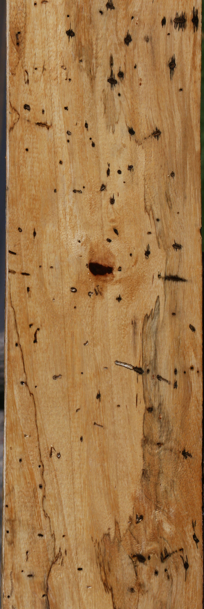 Figured Spalted Tamarind Lumber