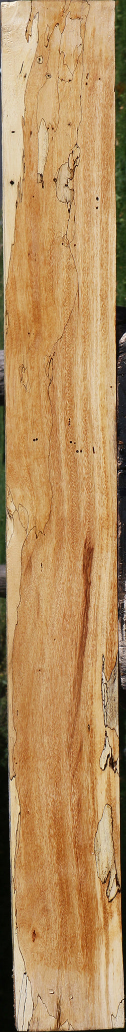 Spalted Tamarind Lumber
