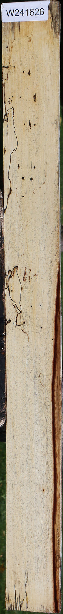 Spalted Tamarind Lumber