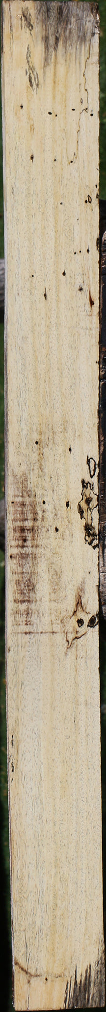 Spalted Tamarind Lumber