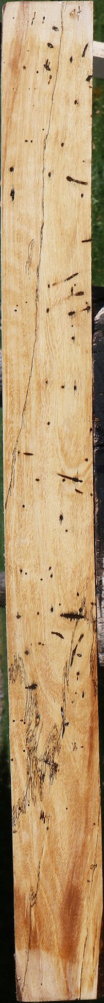 Spalted Tamarind Lumber