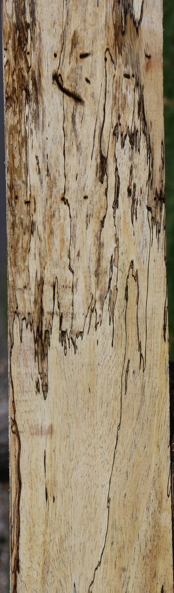 Spalted Tamarind Lumber