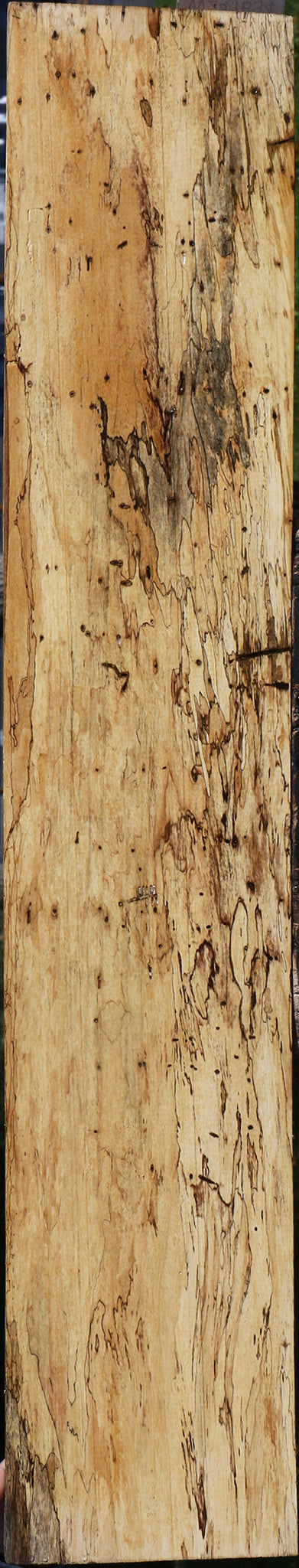 Extra Fancy Spalted Tamarind Lumber
