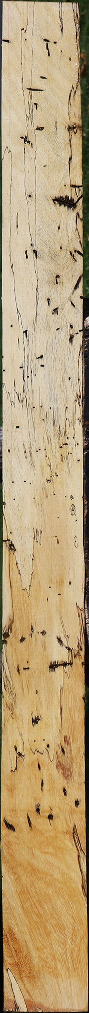 Spalted Tamarind Lumber