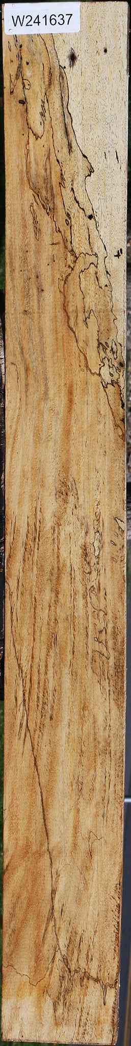 Spalted Tamarind Lumber