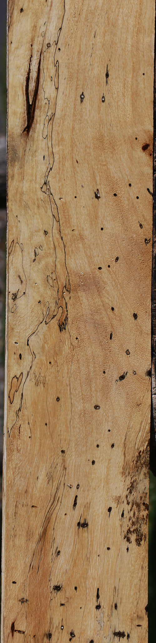Figured Spalted Tamarind Lumber