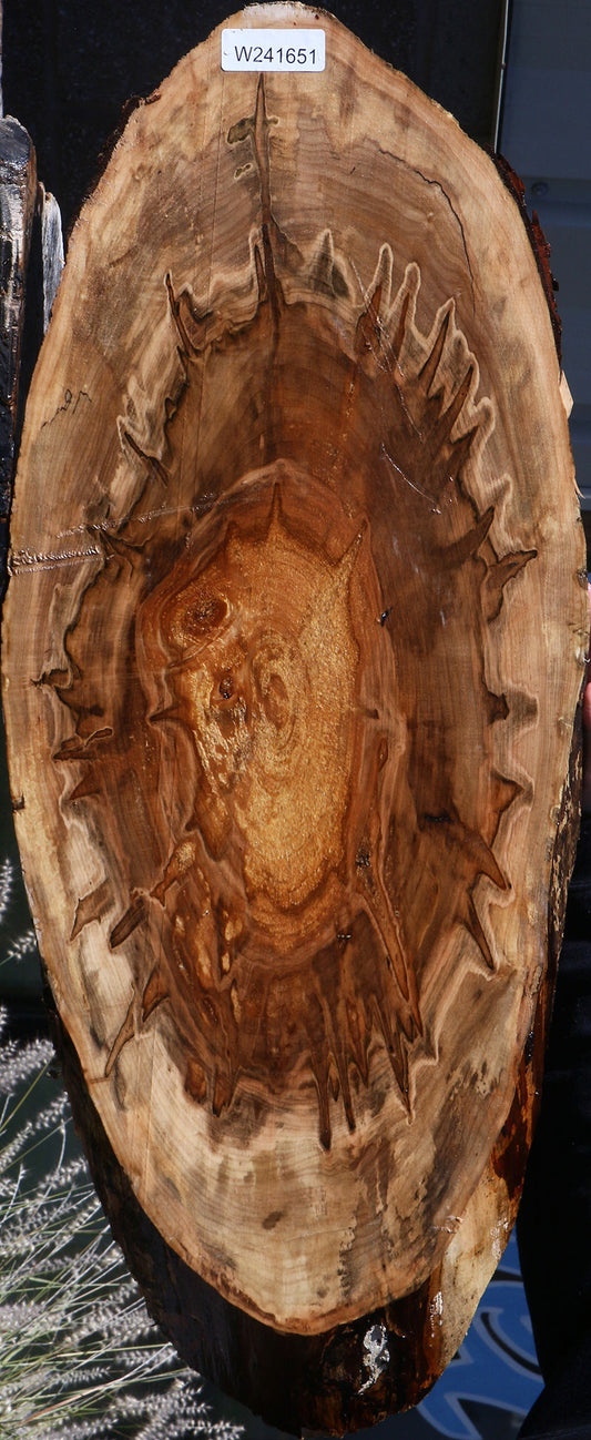 Extra Fancy Ambrosia Maple Cookie