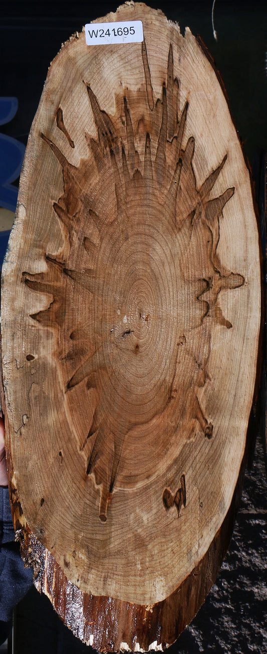 Extra Fancy Ambrosia Maple Cookie