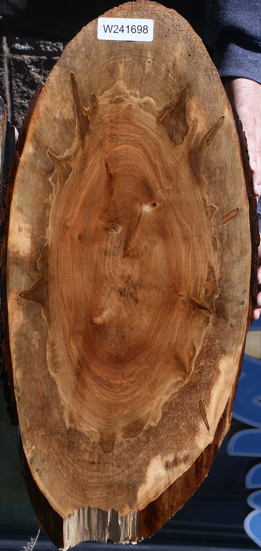 Figured Ambrosia Maple Cookie