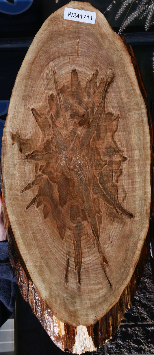 Extra Fancy Ambrosia Maple Cookie