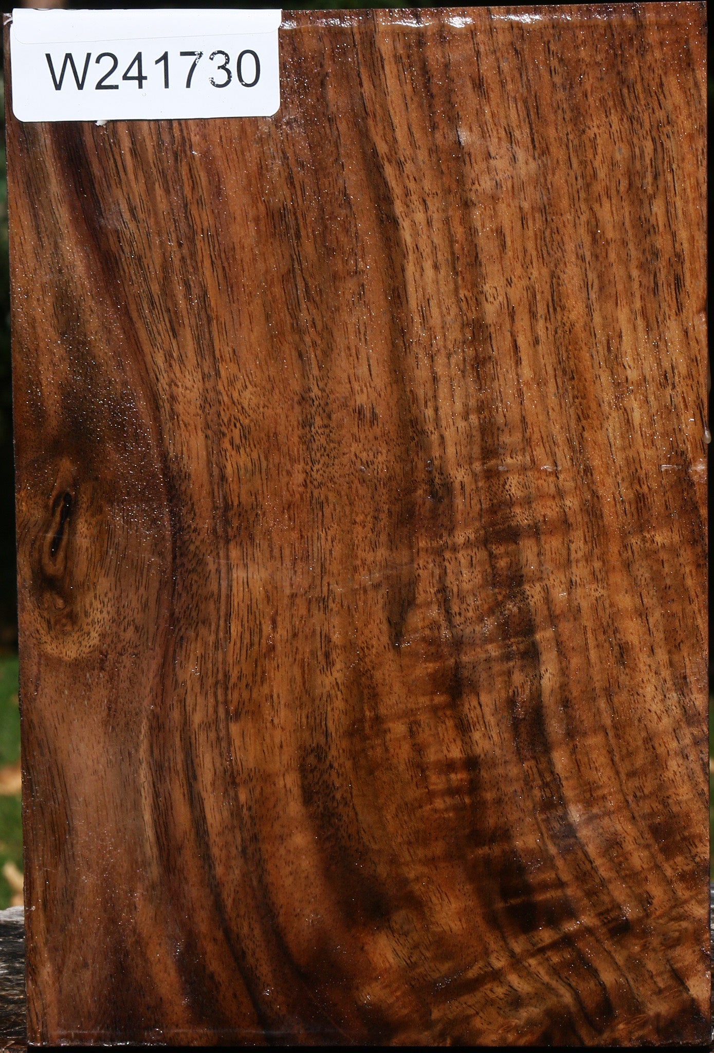 Claro Walnut Vessel Blank