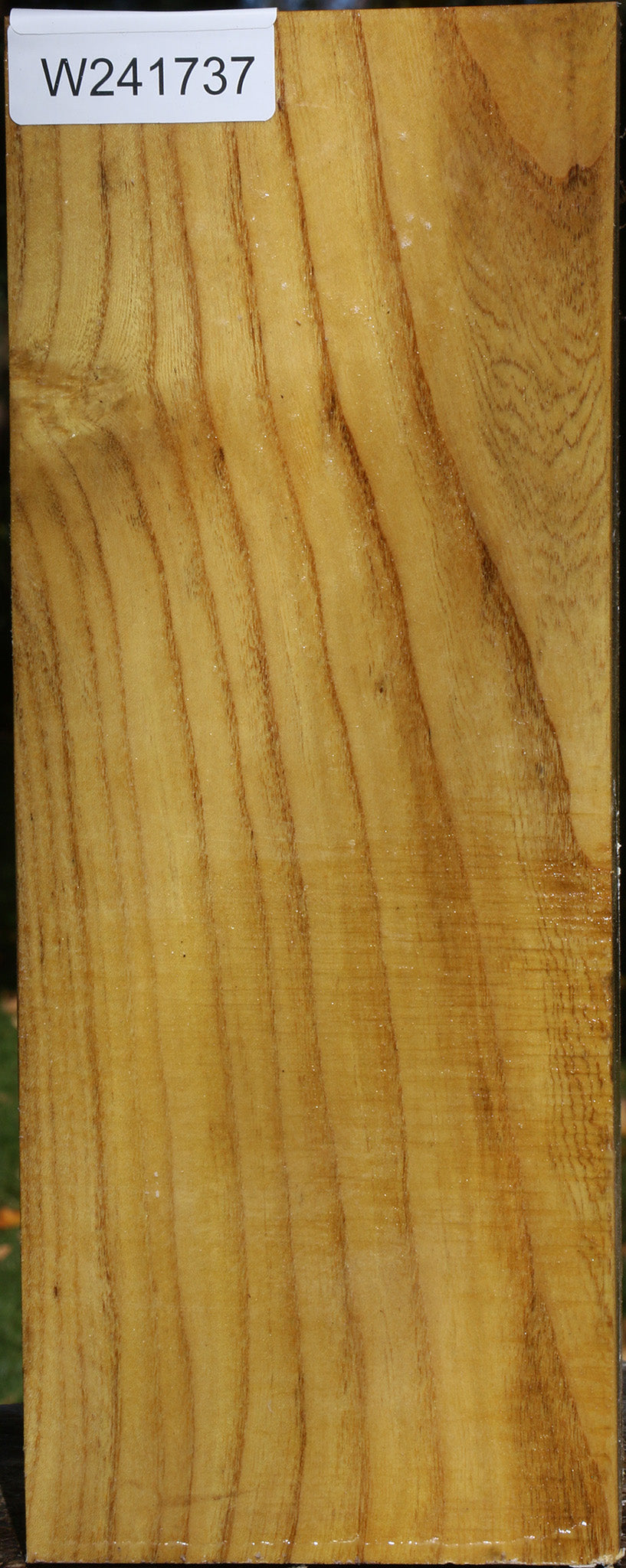 Mulberry Vessel Blank