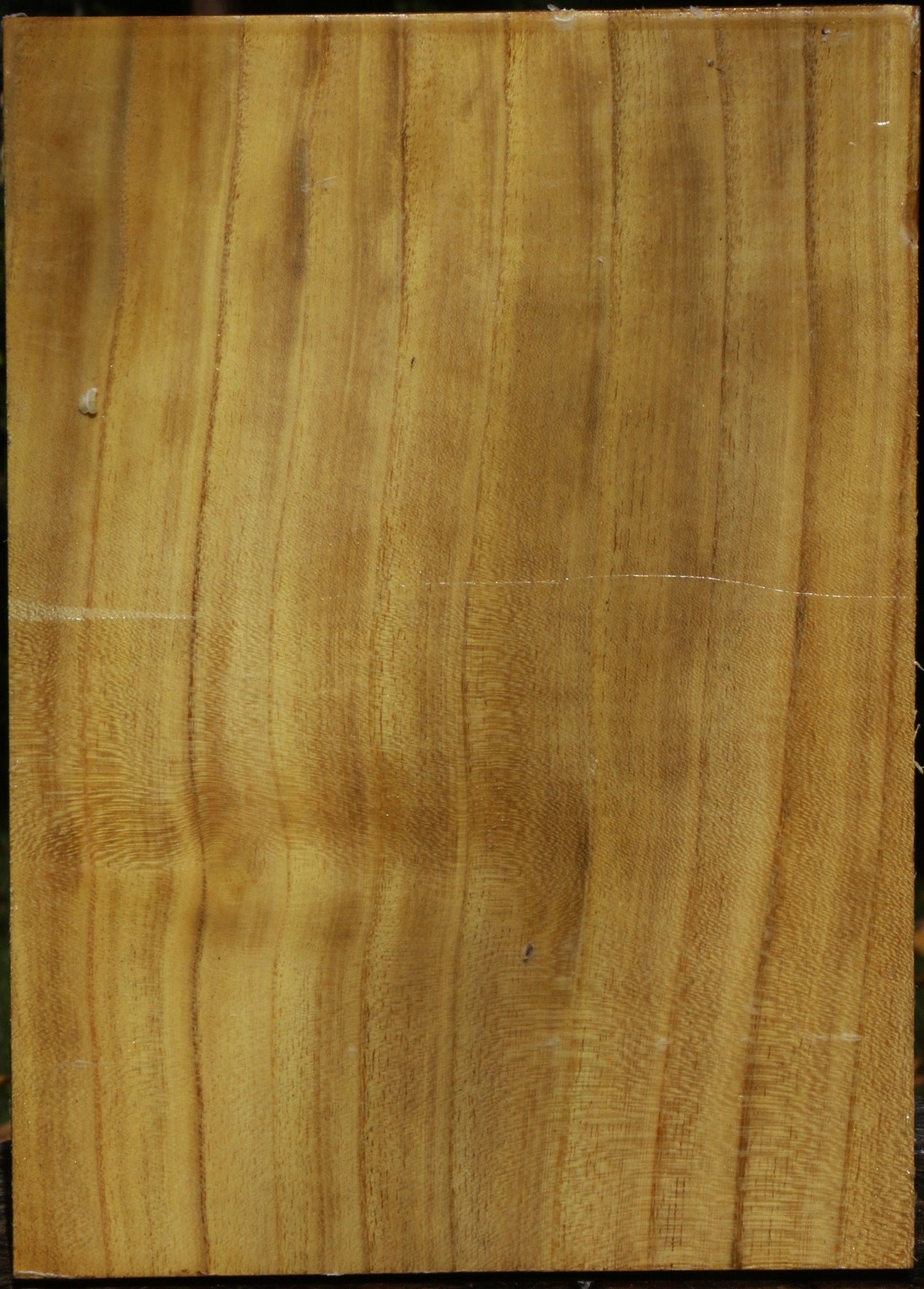 Figured Mulberry Vessel Blank