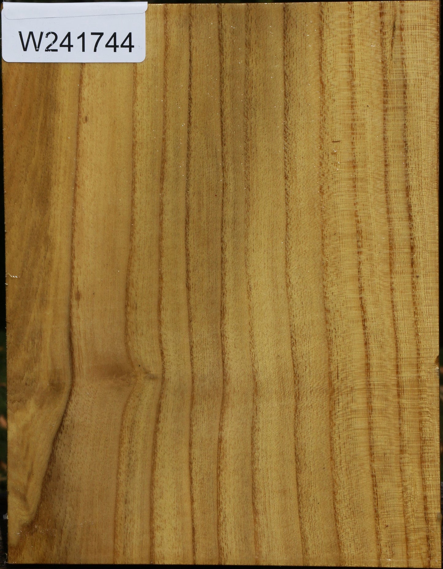 Mulberry Vessel Blank