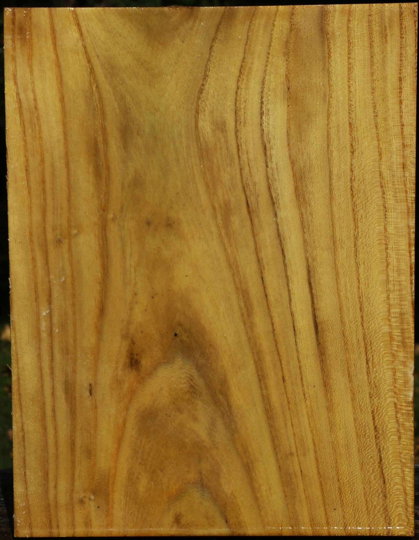 Mulberry Vessel Blank