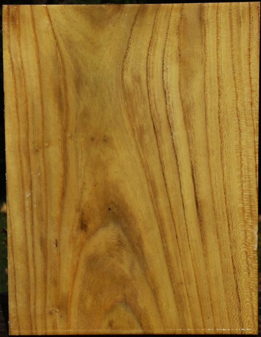 Mulberry Vessel Blank