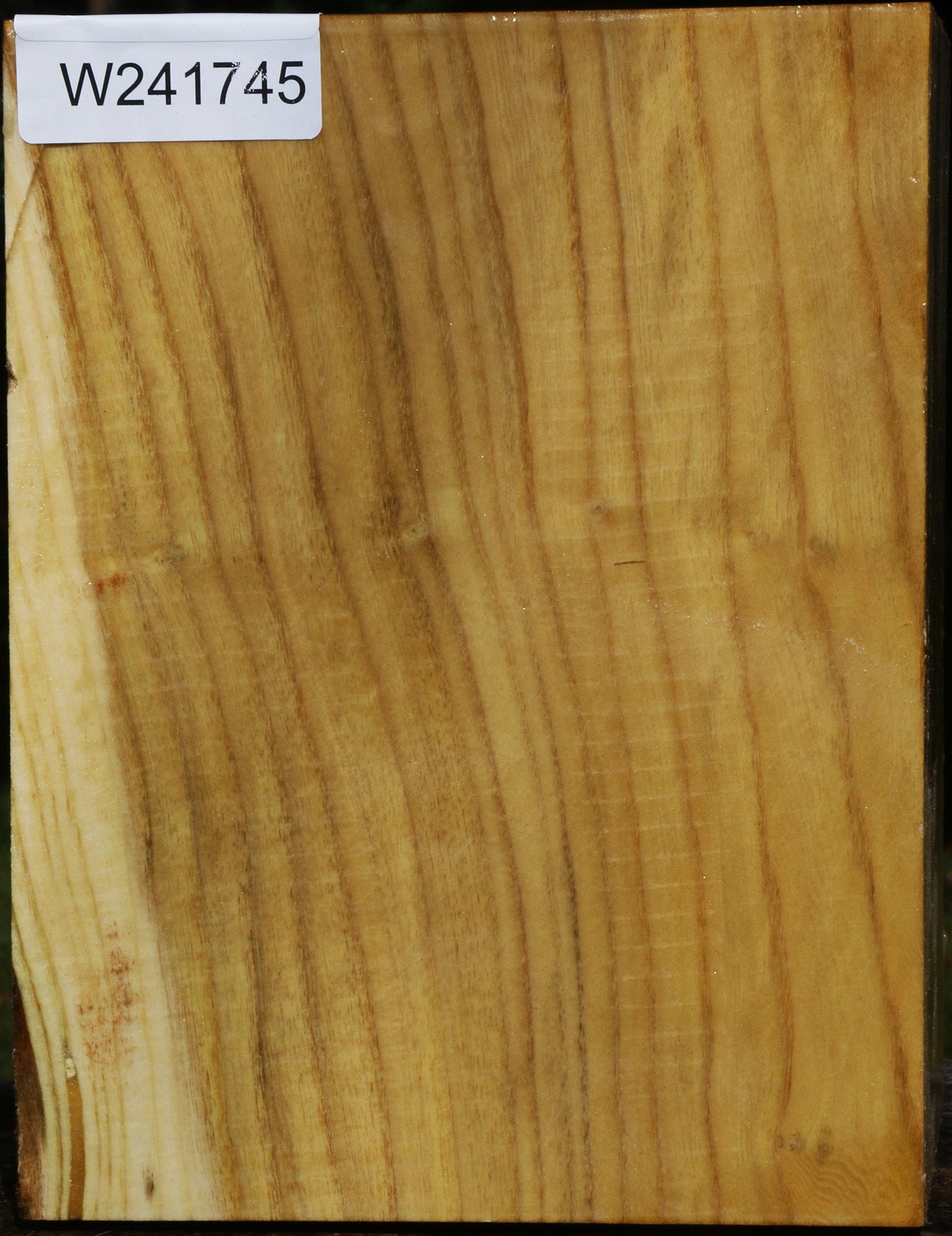 Mulberry Vessel Blank