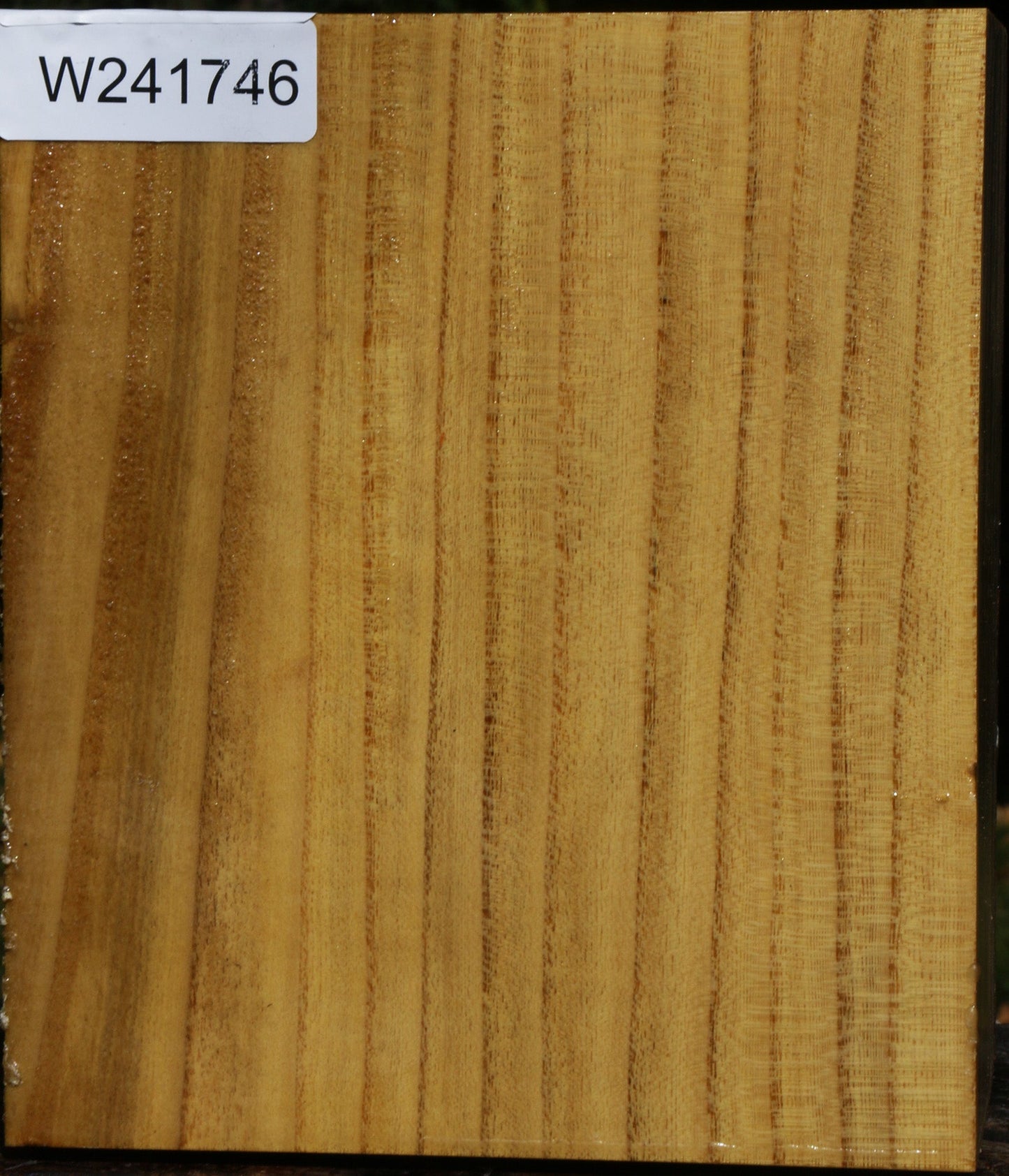 Mulberry Vessel Blank