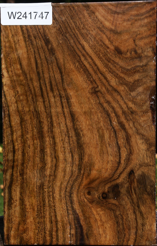 Claro Walnut Vessel Blank