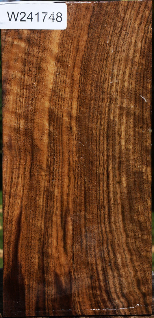 Claro Walnut Vessel Blank